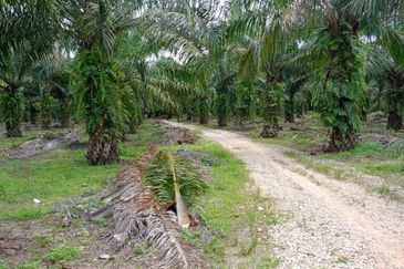 Taman Perindustrian Pontian Maju