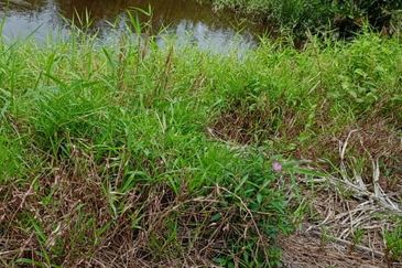 Taman Perindustrian Pontian Maju