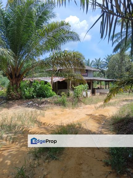Freehold 40.87 Acres of Agricultura land in Beruas Perak for Sale, Perak, Beruas