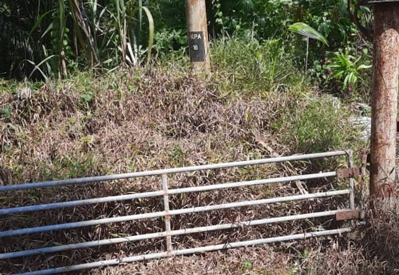 Beruas Perak Oil Palm Land