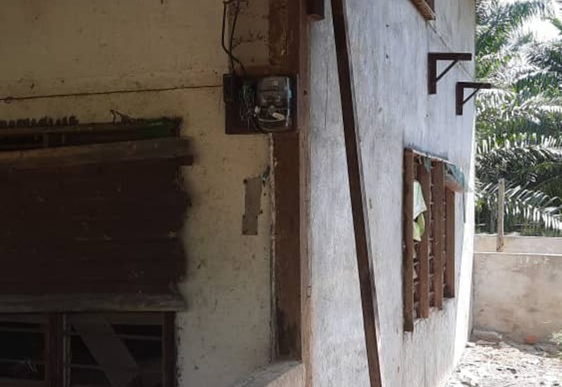 Beruas Perak Oil Palm Land