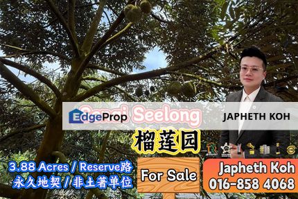 Seelong Senai - 3.88 Acres Durian Farm For Sale, Johor, Senai