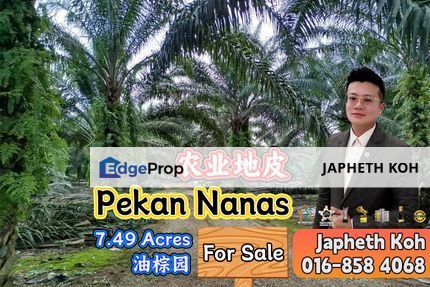 Pekan Nanas - 7.49 Acres Agriculture Land For Sale, Johor, Pontian