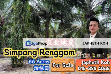 Simpang Renggam 66 Acres Agriculture Land For Sale, Johor, Kluang