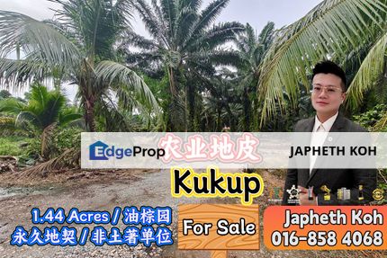 Kukup 1.44 Acres Agriculture Land For Sale, Johor, Pontian
