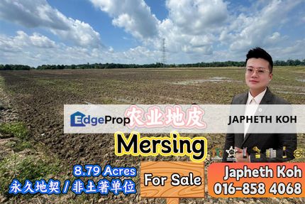 Mersing 8.79 Acres Agriculture Land For Sale, Johor, Mersing