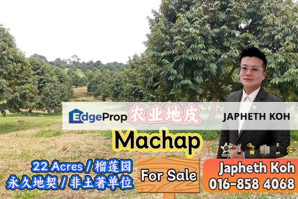 Machap 22 Acres Agriculture Land For Sale, Johor, Simpang Renggam