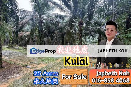 Kulai 25 Acres Agriculture Land For Sale, Johor, Kulai