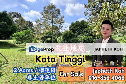 Kota Tinggi Agriculture Land For Sale, Johor, Ulu Tiram