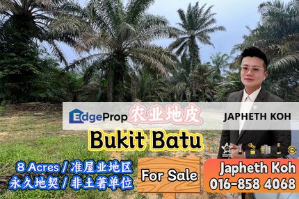 Bukit Batu Agriculture Land For Sale, Johor, Kulai