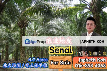 Senai Agriculture Land For Sale, Johor, Kulai