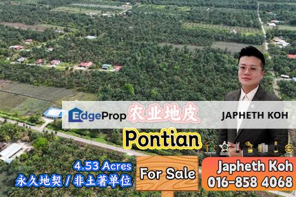 Pontian Agriculture Land For Sale, Johor, Pontian