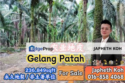 Gelang Patah Agriculture Land For Sale, Johor, Gelang Patah