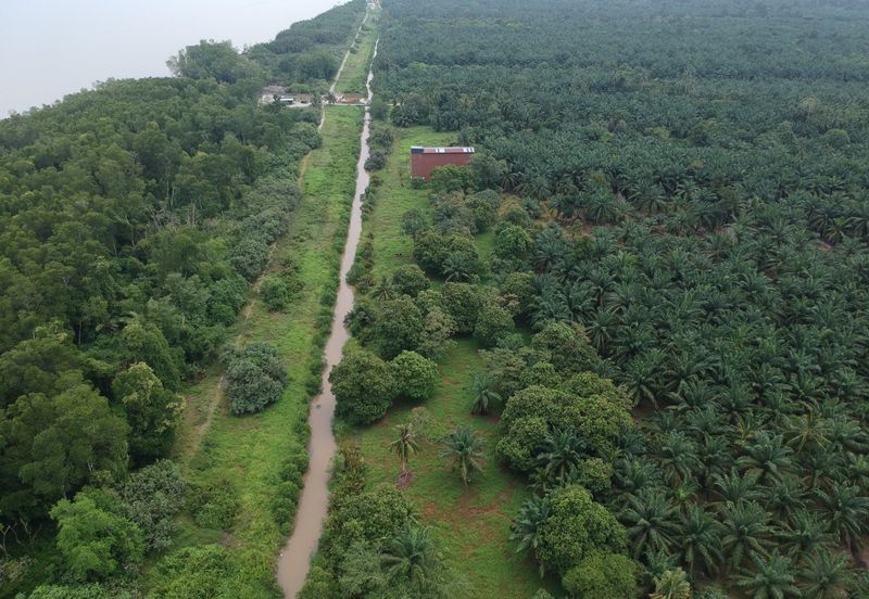 Rimba Terjun Pontian