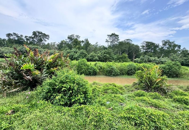 Rimba Terjun Pontian