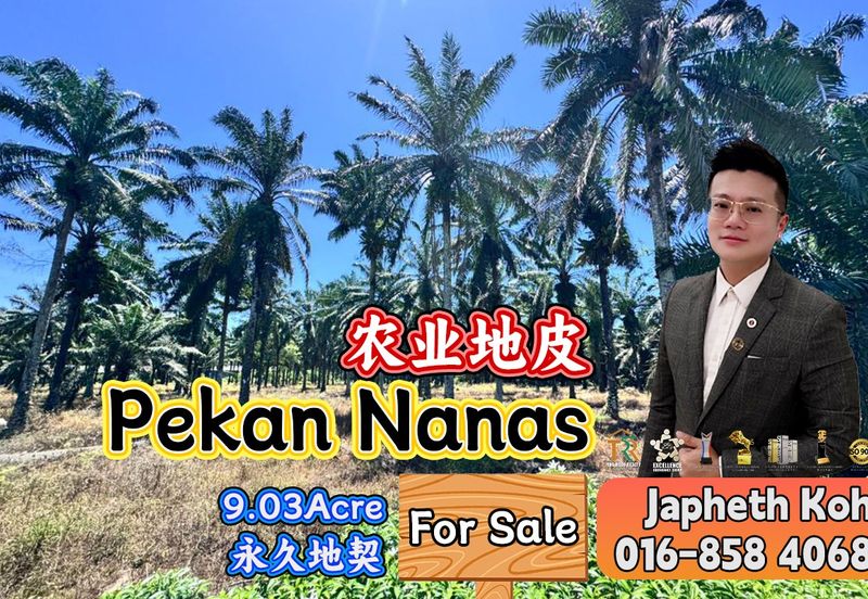 Pekan Nanas