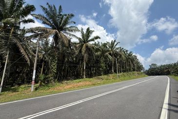 Tanjung Sedili Agriculture Land For Sale