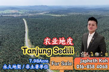 Tanjung Sedili Agriculture Land For Sale