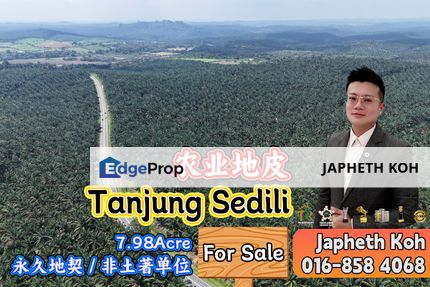 Tanjung Sedili Agriculture Land For Sale, Johor, Kota Tinggi