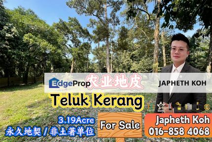 Teluk Kerang Agriculture Land For Sale, Johor, Pontian