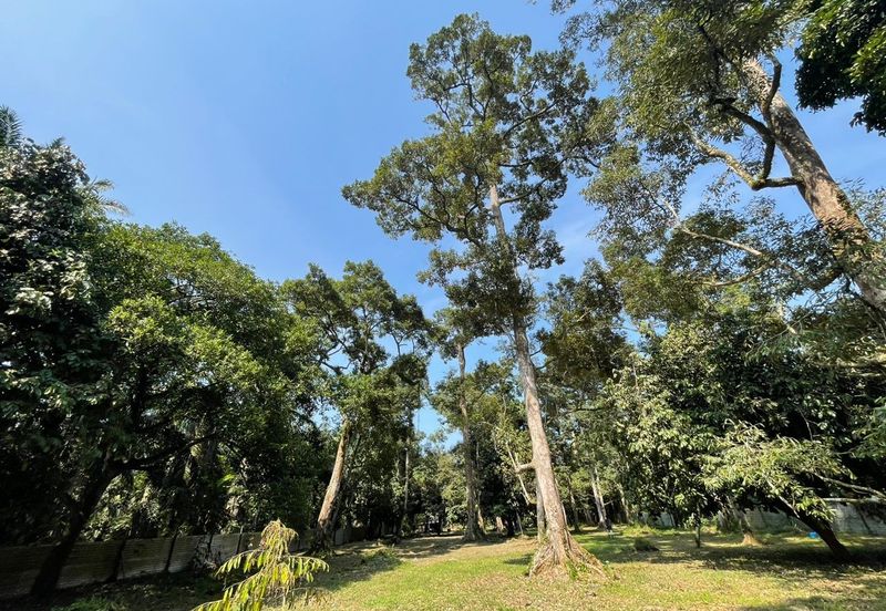 Rimba Terjun Pontian