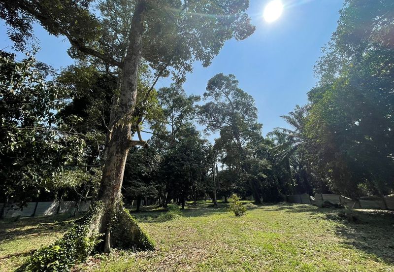 Rimba Terjun Pontian