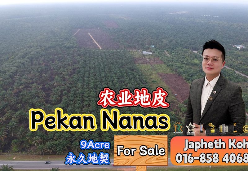 Pekan Nanas