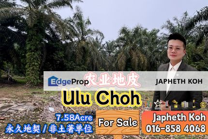 Ulu Choh Agriculture Land For Sale, Johor, Kangkar Pulai