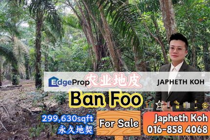 Ban Foo Agriculture Land For Sale, Johor, Ulu Tiram