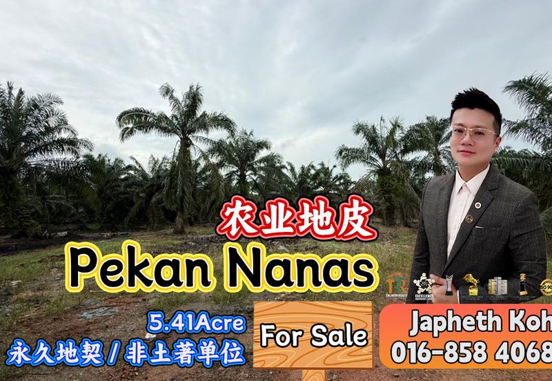 Pekan Nanas