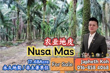 Nusa Mas Agriculture Land For Sale