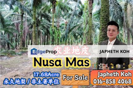 Nusa Mas Agriculture Land For Sale, Johor, Gelang Patah