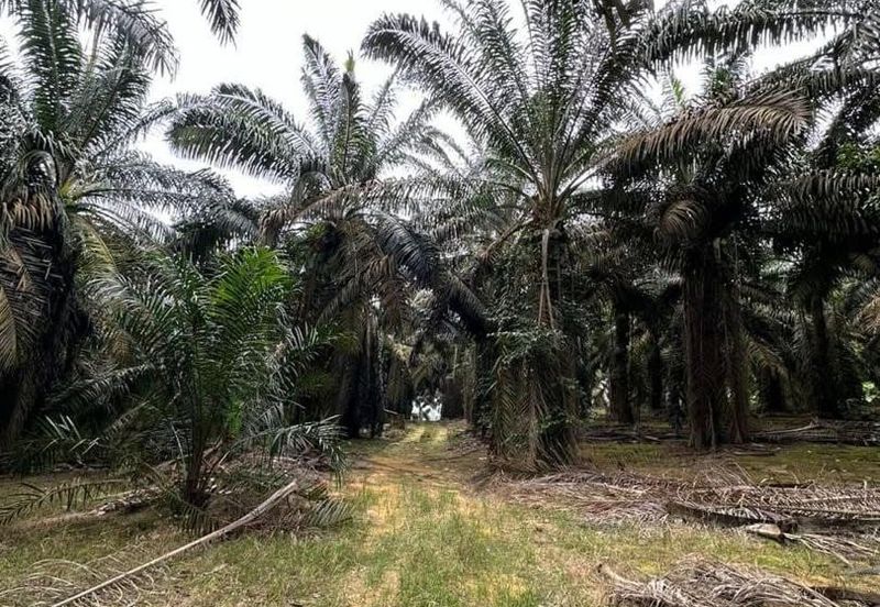 Jalan Sri Putri 4, Taman Putri Kulai