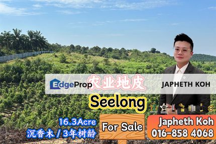 Seelong Agriculture Land For Sale, Johor, Senai