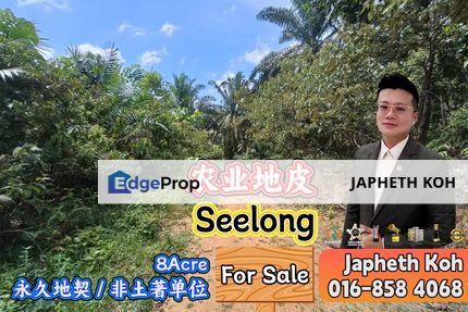Seelong Agriculture Land For Sale, Johor, Senai