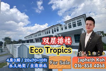 Eco Tropics