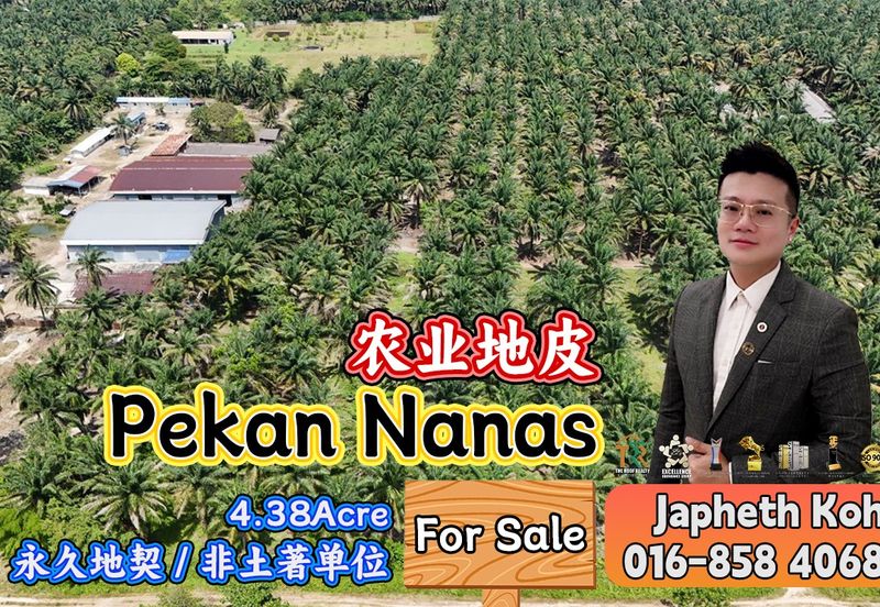 Pekan Nanas