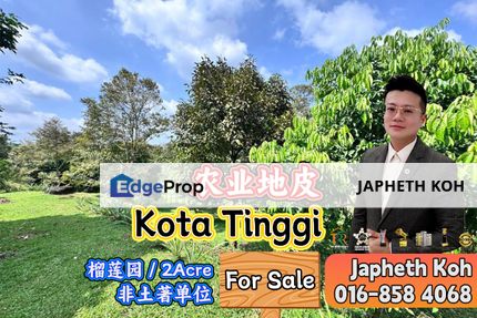 Kota Tinggi Agriculture Land For Sale, Johor, Ulu Tiram