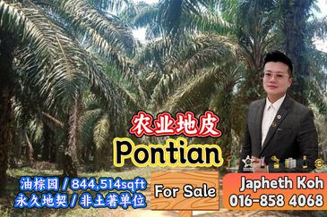 Rimba Terjun Pontian