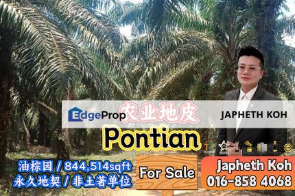 Pontian Agricultural Land For Sale, Johor, Pontian