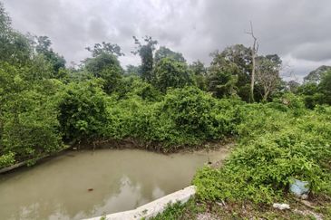 Rimba Terjun Pontian