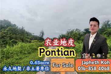 Rimba Terjun Pontian