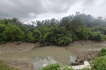 Rimba Terjun Pontian