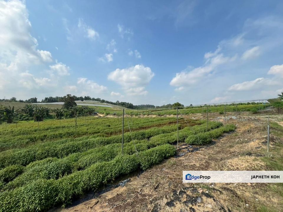 Kempas Agricultural Land For Sale, Johor, Johor Bahru