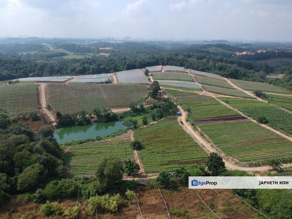 Kempas Agricultural Land For Sale, Johor, Johor Bahru