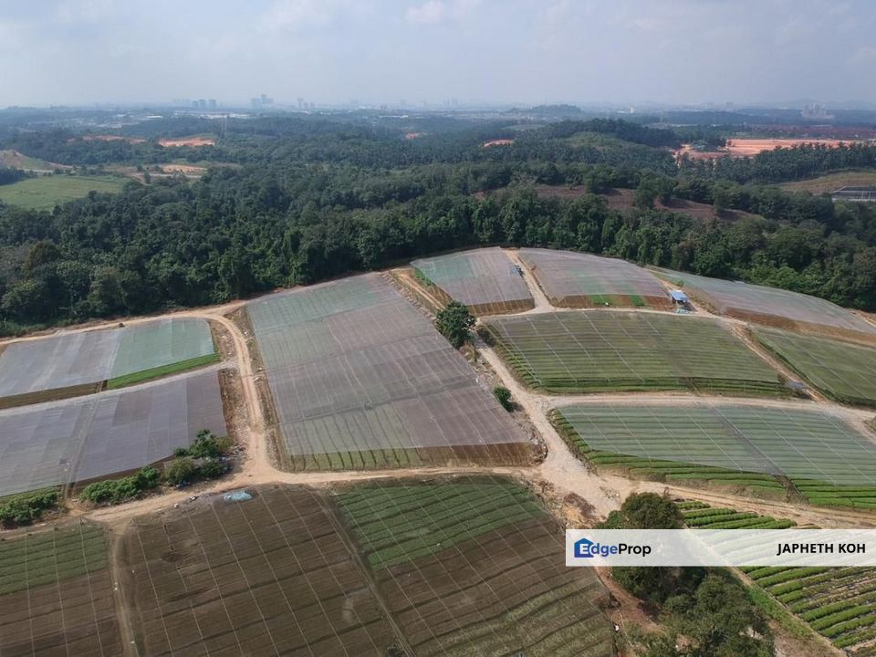 Kempas Agricultural Land For Sale, Johor, Johor Bahru