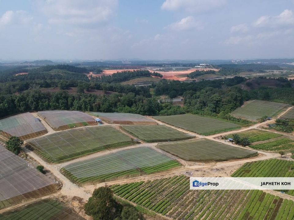 Kempas Agricultural Land For Sale, Johor, Johor Bahru