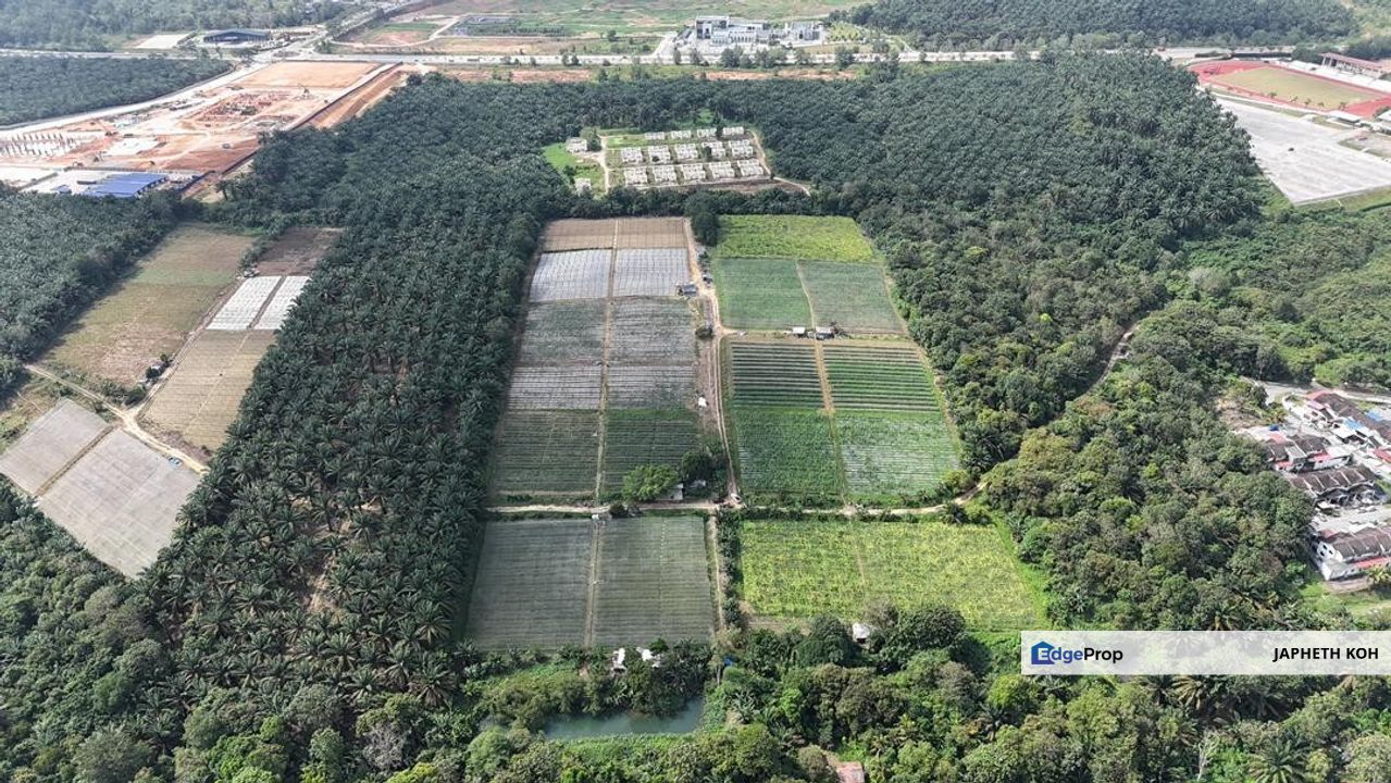 Saleng Agricultural Land For Sale, Johor, Kulai