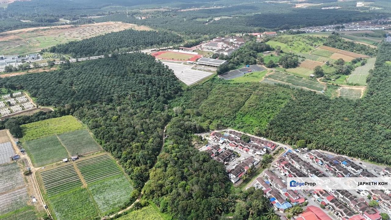 Saleng Agricultural Land For Sale, Johor, Kulai