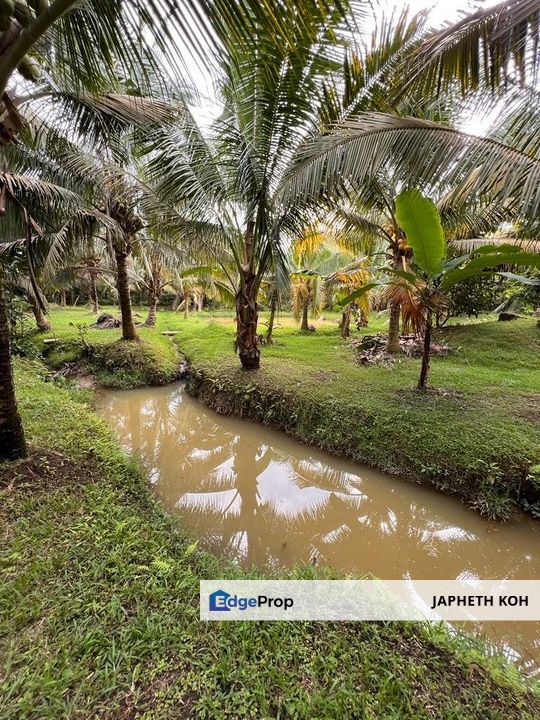 Kluang Agricultural Land For Sale, Johor, Kluang